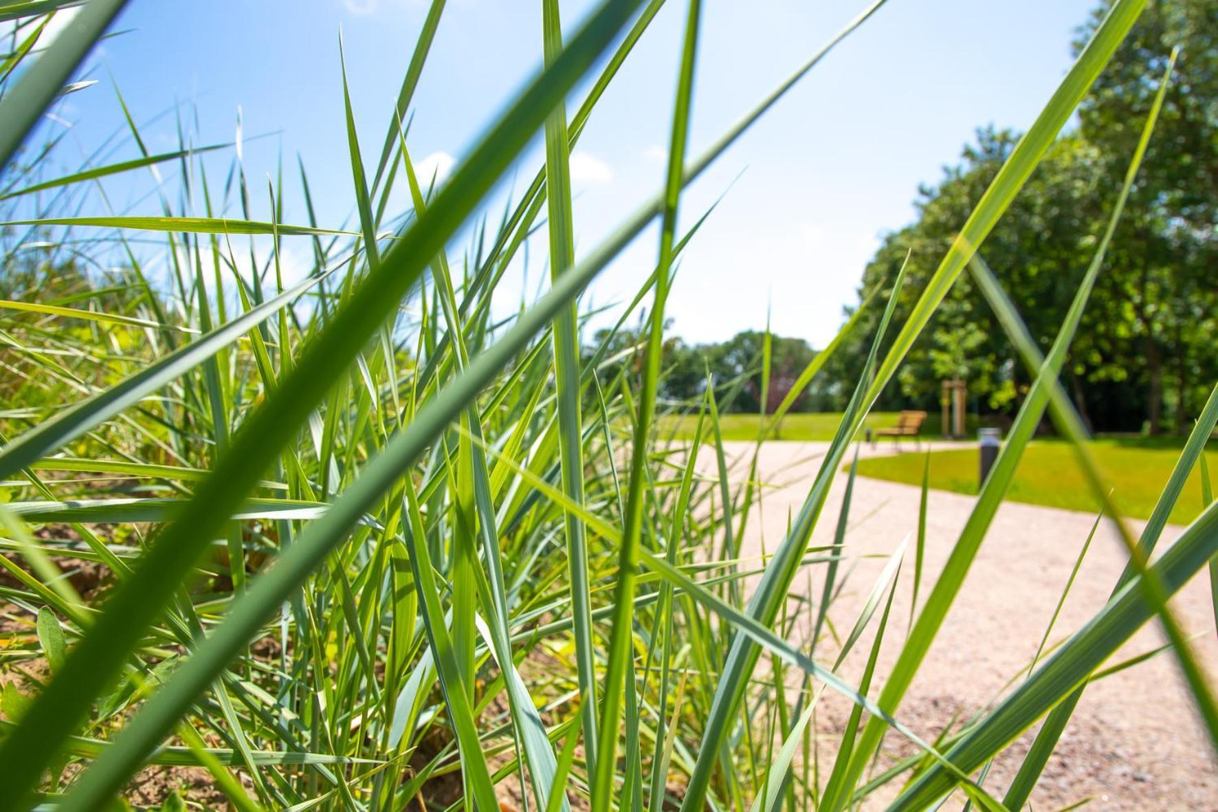 Wohnen Am Suedstrand - 0 4 *